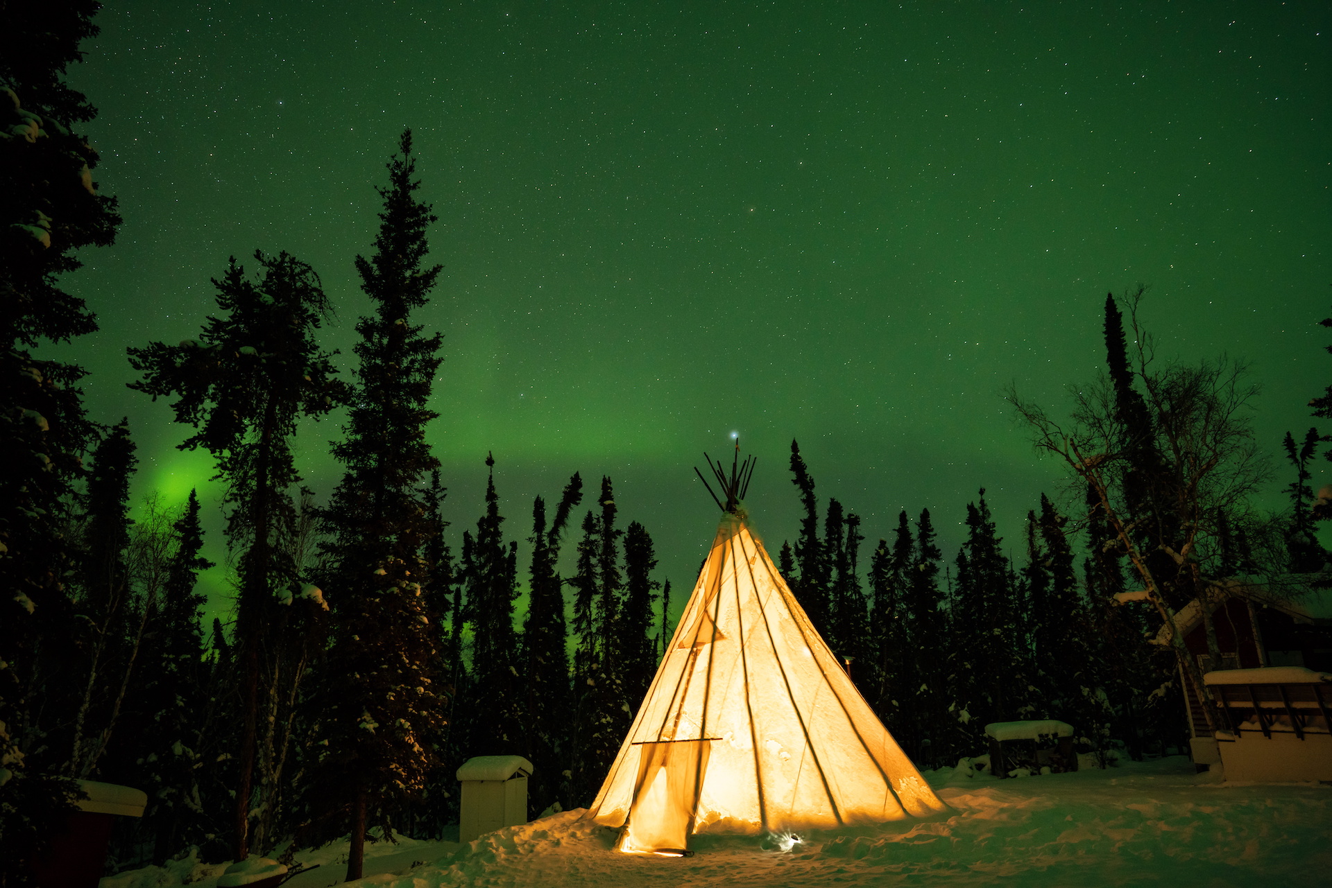 Northern lights (Aurora borealis) with starry sky above forest, Yellowknife, Canada