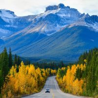 Alberta Highway